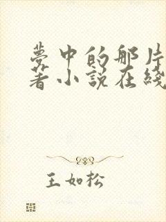 梦中的那片海原著小说在线阅读