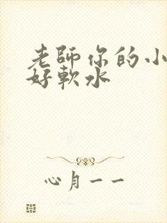 老师你的小兔子好软水
