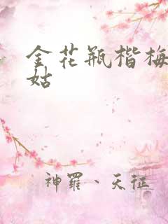 金花瓶楷梅花尼姑