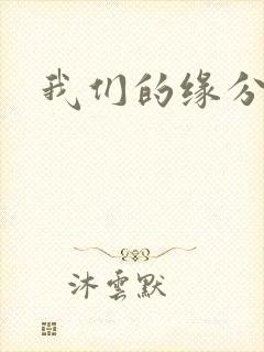 我们的缘分小说