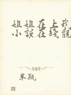 姐姐在上我在下小说在线观看