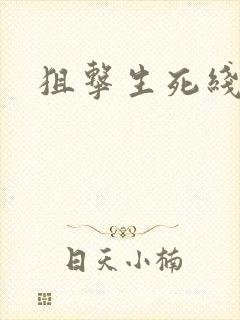 狙击生死线小说