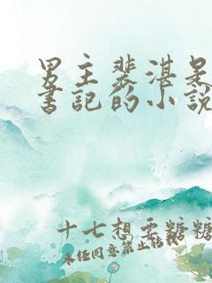 男主裴湛是省委书记的小说