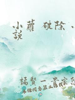 小萝 破除 小说