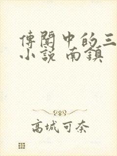 传闻中的三公主小说 南镇