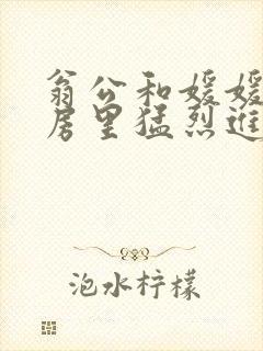 翁公和媛媛在厨房里猛烈进出