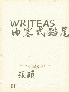 WRITEAS内塞式猫尾