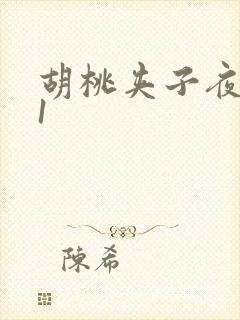 胡桃夹子夜未眠1