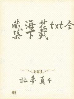 藏海花txt全集下载