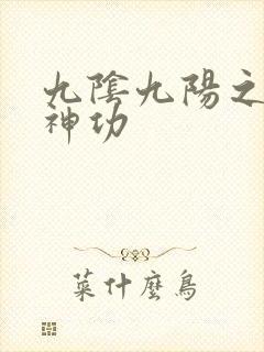 九阴九阳之阴阳神功