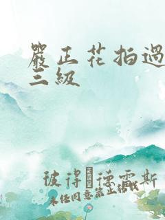 严正花拍过什么三级