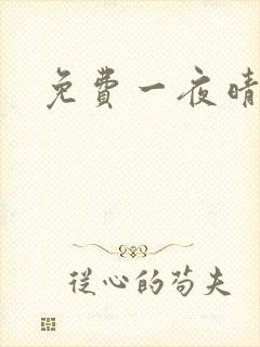 免费一夜晴交友