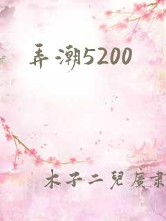 弄潮5200
