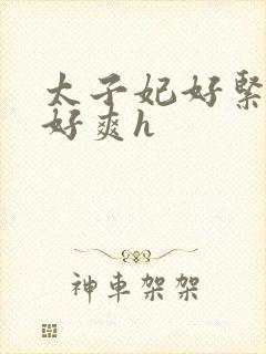 太子妃好紧皇上好爽h