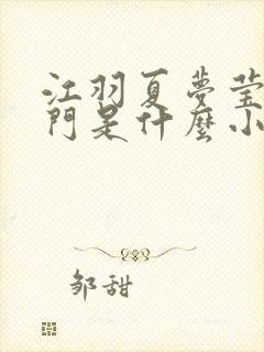 江羽夏梦莹神谕门是什么小说