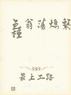 色翁荡熄系列借种