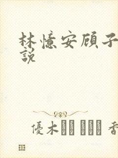 林忆安顾子铭小说
