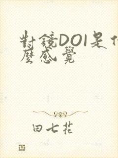 对镜DOI是什么感觉