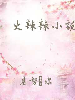 火辣辣小说全集