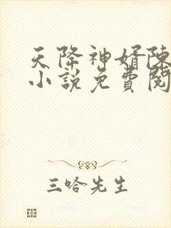 天降神婿陈黄皮小说免费阅读