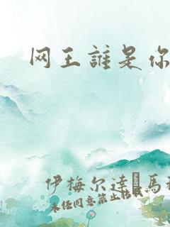 网王谁是你老婆