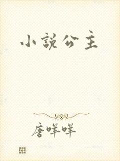 小说公主