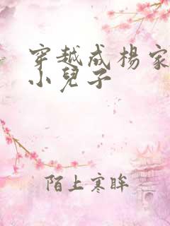 穿越成杨家将最小儿子