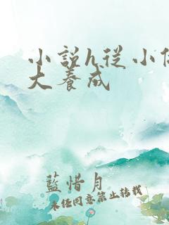 小说h从小做到大养成