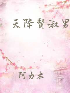 天降贤淑男小说