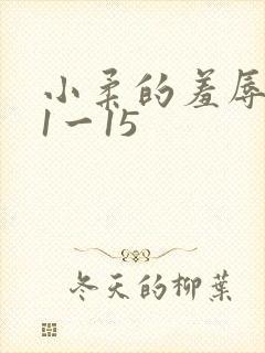 小柔的羞辱日记1一15