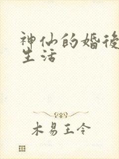 神仙的婚后都市生活