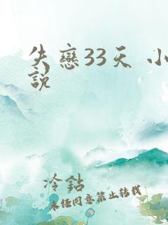 失恋33天 小说