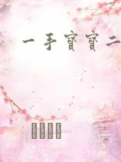 一手宝宝二手妻
