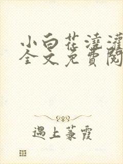 小白花浇灌日常全文免费阅读