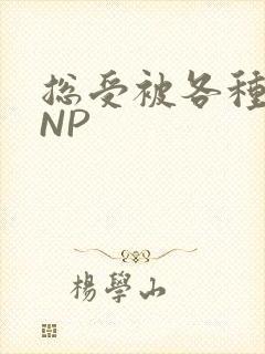 总受被各种姿势NP