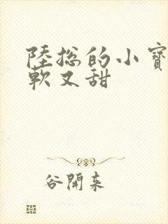 陆总的小宝贝又软又甜