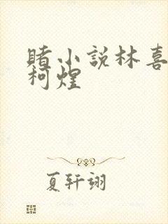 赌小说林喜朝和柯煜