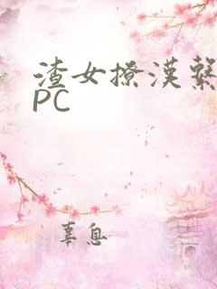 渣女撩汉系统NPC