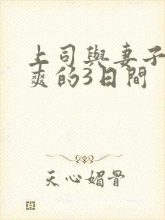 上司与妻子干到爽的3日间