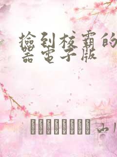 捡到校霸的遥控器电子版