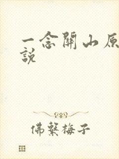 一念关山原著小说
