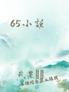 65小说