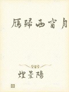 雁归西窗月小说