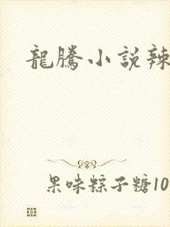 龙腾小说辣文网