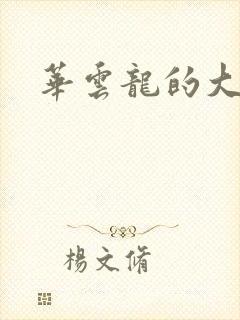 华云龙的大宝贝