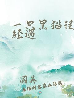 一只黑猫从眼前经过