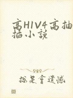 高H1V4高抽插小说