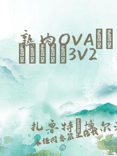 熟肉OVAちゃんはしたい3V2