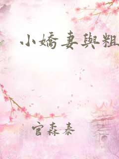 小娇妻与粗汉H