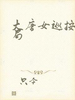 大唐女巡按大结局